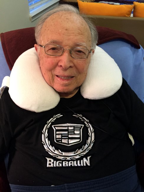 Obituary of Albert Stein