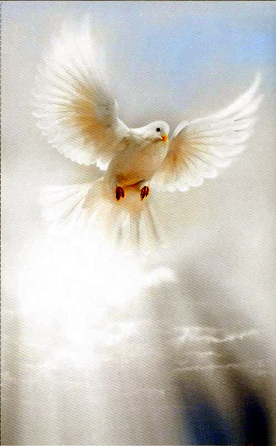 Obituary of Teodora Teresa Lopez Perez