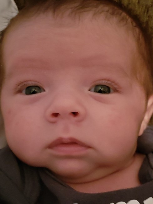 Obituary of Ethan Alan Holbrook