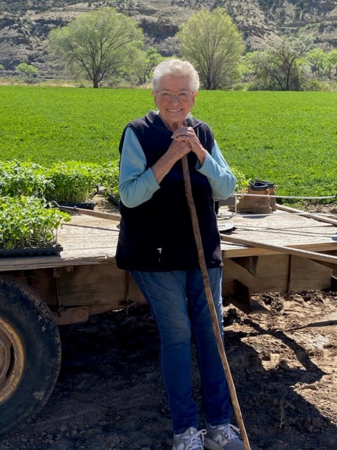 Obituary of Thelma Rose Hays