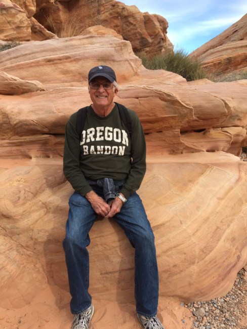 Obituary of Michael Hollingshead