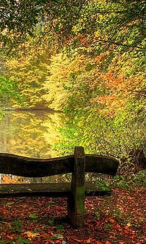 Obituary of Fernand Royce Unruh