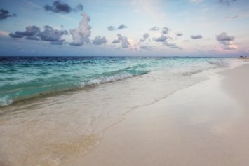 Obituary of Warren Giles Bone