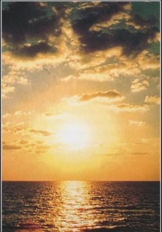 Obituary of Basil L Nicholson