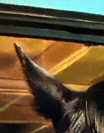 Joe Rangel Obituary - Phoenix, AZ