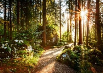 Obituary of Kenneth Nelson Waisanen Jr.