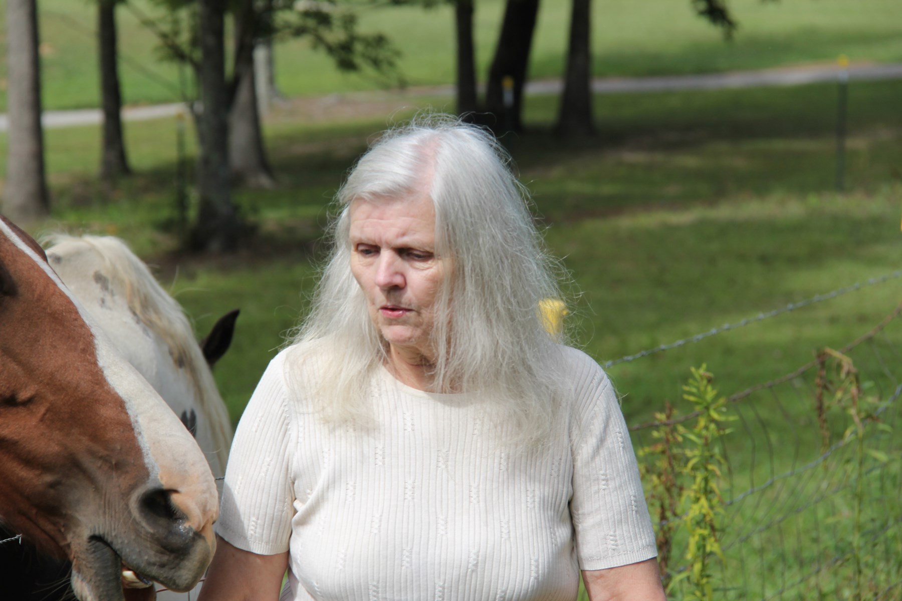 Obituary of Marilyn Lee Adams