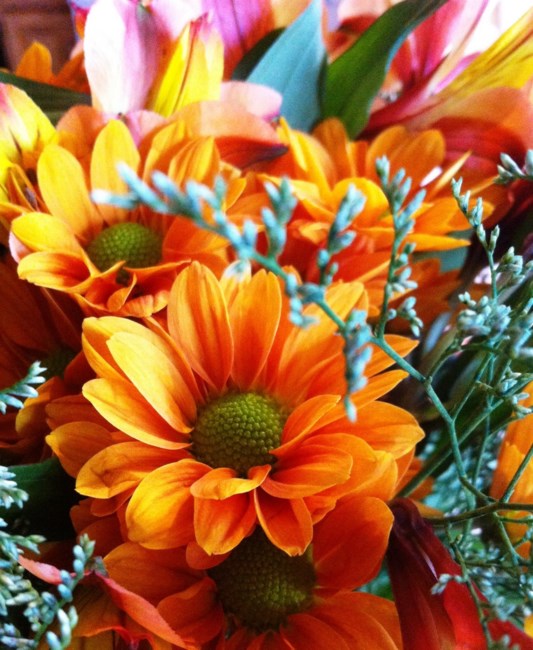 Obituary of Viola M. Moss-Phillips