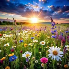 Avis de décès de Vasiliki Demetrios Meletis