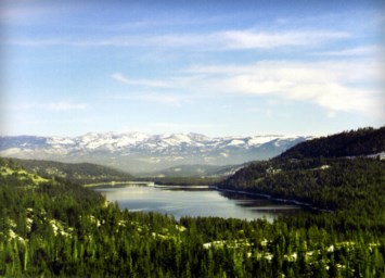 Obituary of Herman Glen Colson