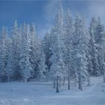 Obituary of Peggy Jean Kapaun