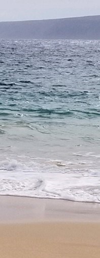 Obituary of Nancy Masayo Yamamoto