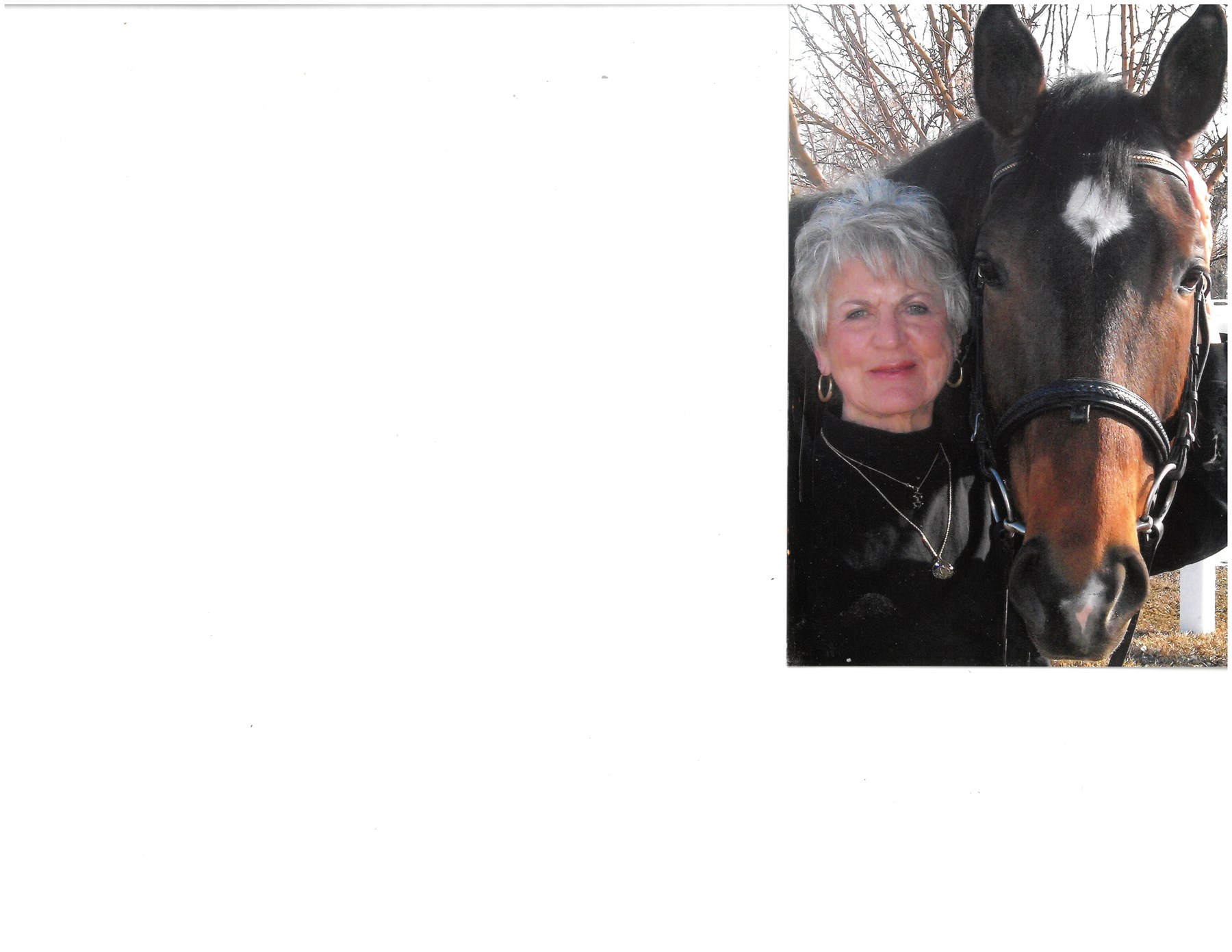 Obituary of Sandy Lee Taylor