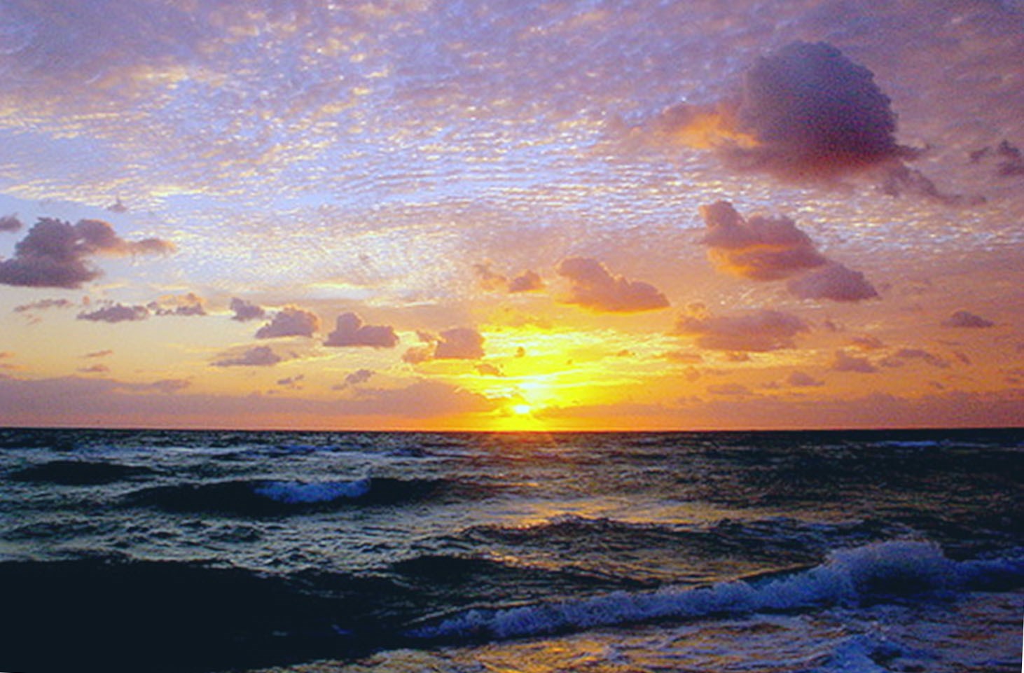 Obituary of Betty Karil Newman