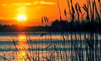 Avis de décès de Eugene Danny Garcia