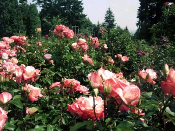 Obituary of Helen Marie Eudy Burleson