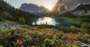 Obituary of George Park Myers