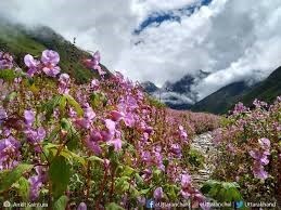 Obituary of Tracy Ray