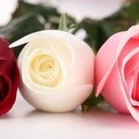 Obituary of Betty June Rose