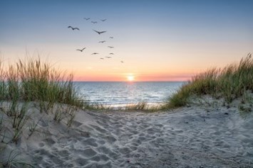 Obituary of Becky Lynn Sorensen-Higgins