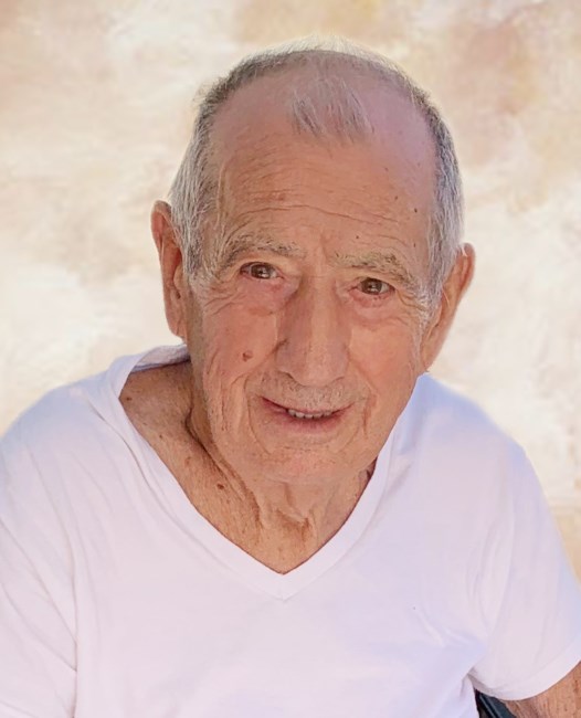 Obituary of Louis A. D'Amato