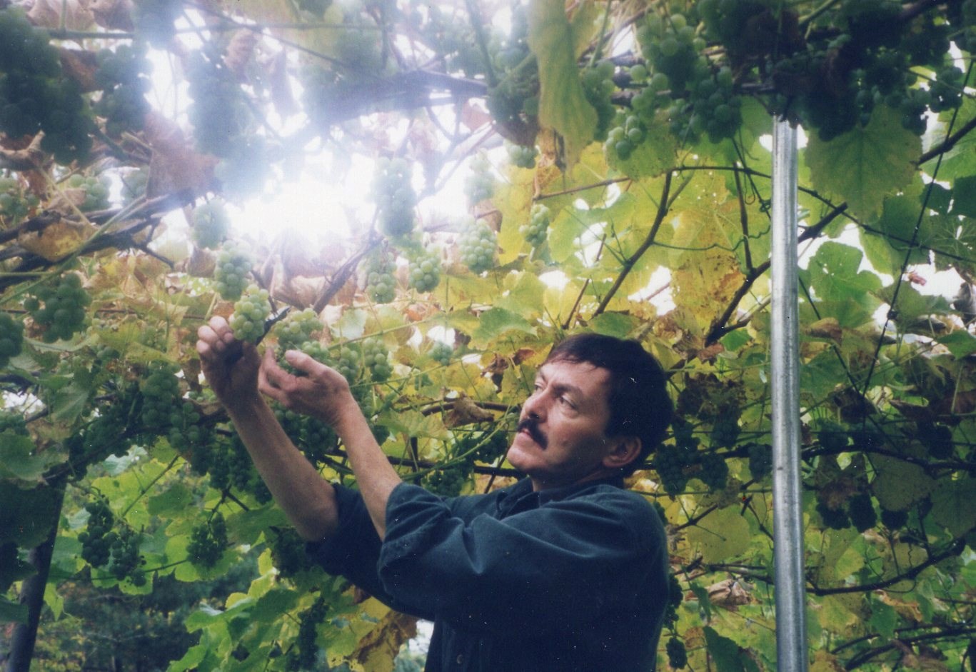 Obituary of Tommaso L. Tempesta