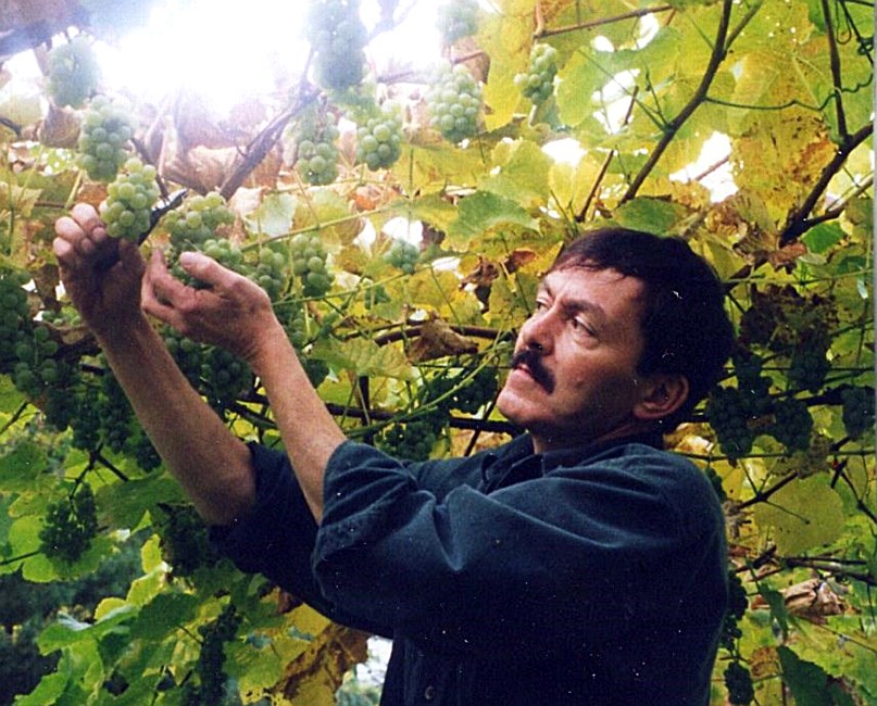 Obituary of Tommaso L. Tempesta