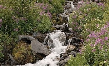 Obituary of Eric Ross Flewelling