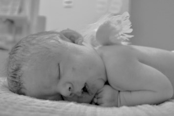 Obituary of Silas Ray Potter