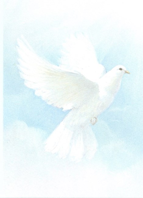 Obituary of Susan J. Weber