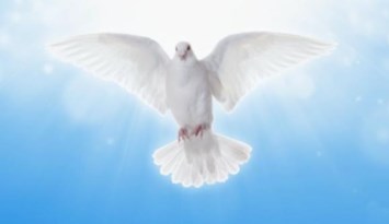 Obituary of Maria Haz Escobar