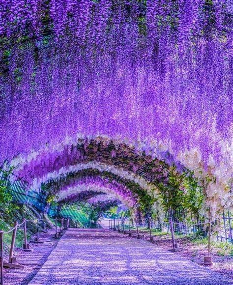 Obituary of Marie Ramey