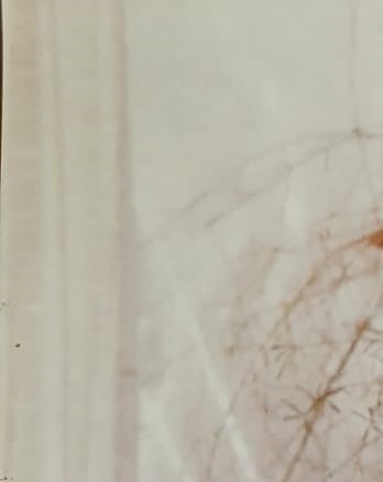 Olga Mason Obituary North Miami FL olga-mason-obituary-north-miami-fl