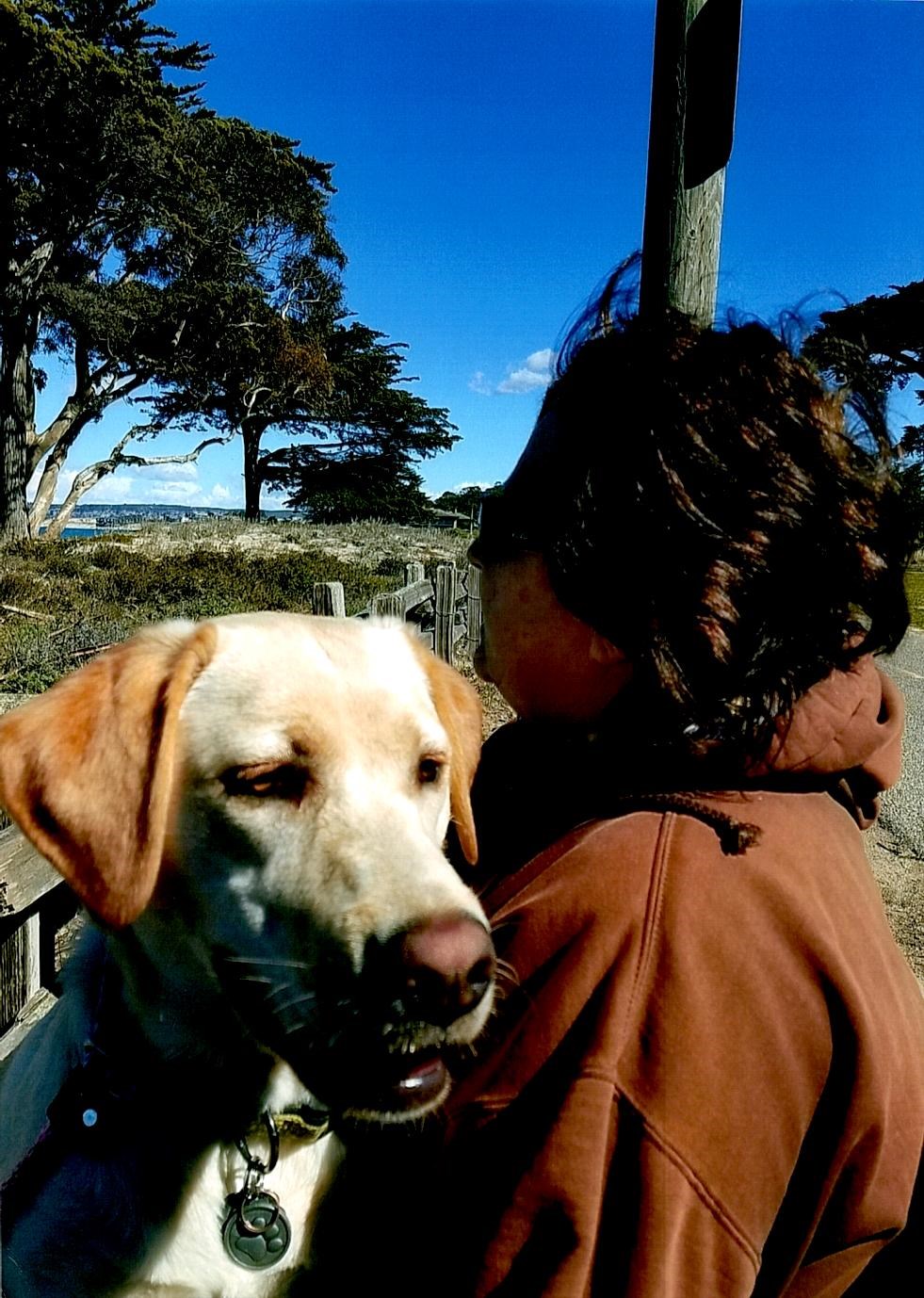 Obituary of Kimberly Anne Kelley