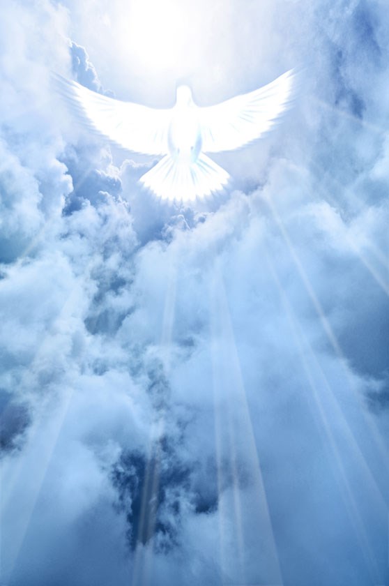 Obituary of Thomas Daniel Felicia