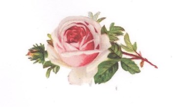 Obituary of Mary Willene Morgan