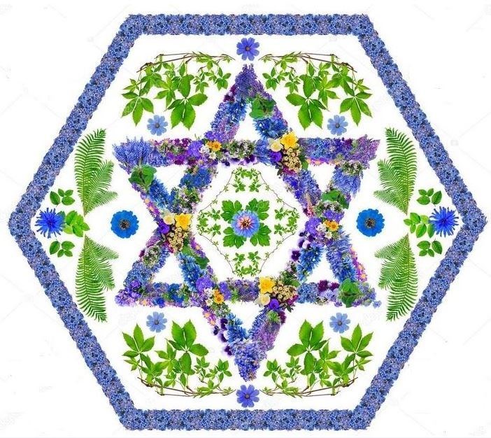 Obituary of Rosalind Perlman