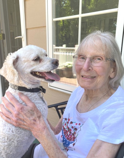 Obituary of Sara Jeanne Johnson