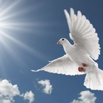 Obituary of Grace P. Dunn