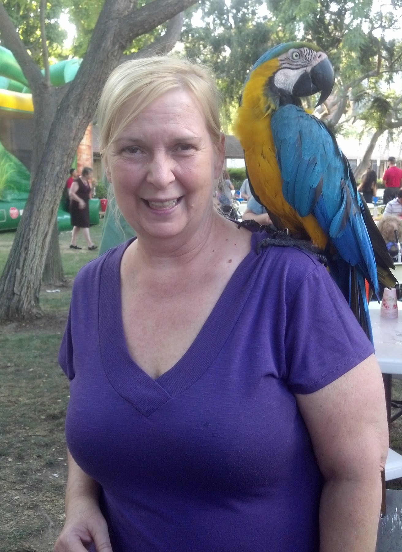 Obituary of Rhonda Sue Lambert