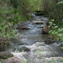 Obituary of David Michael Padilla