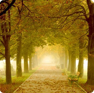 Obituary of Belva Elaine Montgomery