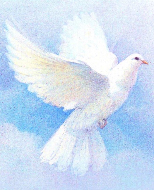 Obituary of Thomas "Fluff" Stackling Sr.