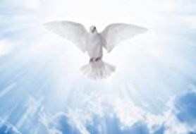 Obituary of Jose Gilberto Zuniga