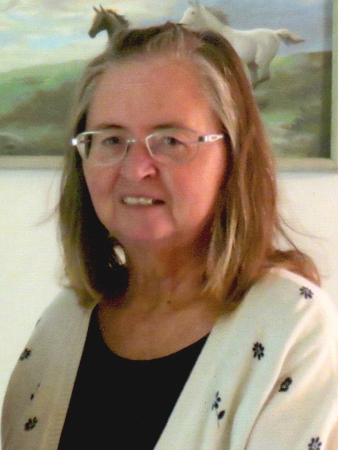 Obituary of Shirley Lee Heater