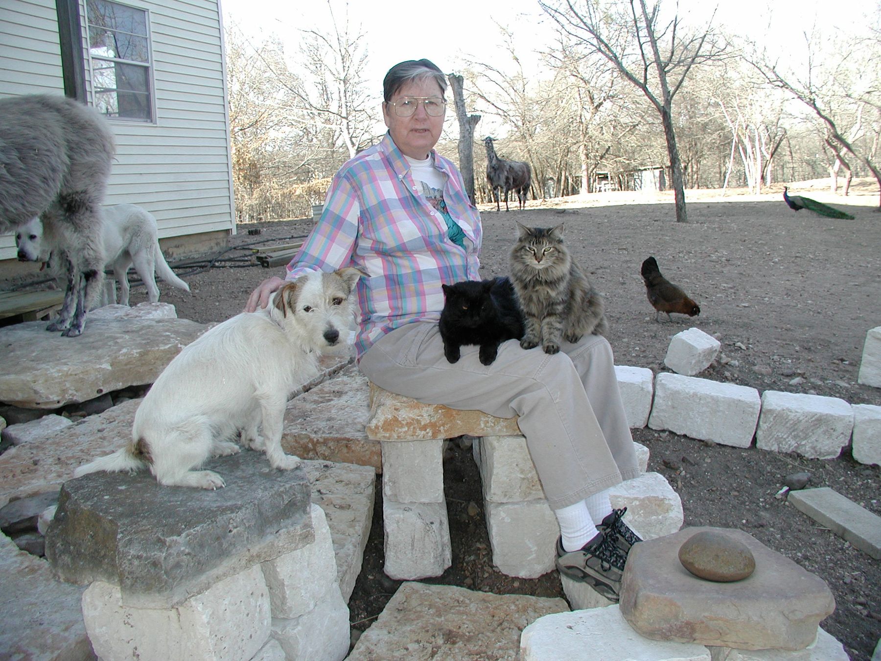 Obituary of Sharon S. Bramblett