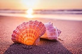 Obituario de Linda June Fleming