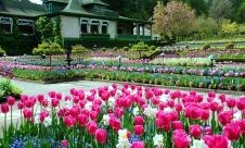 Obituary of Richard L. Heaton