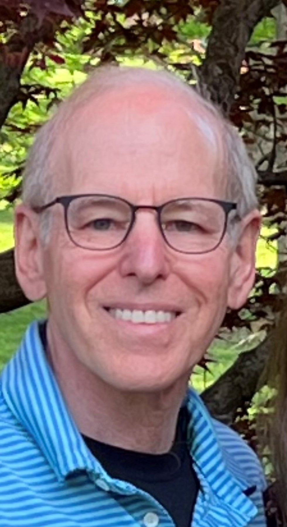 Robert Levy Obituary St. Louis, MO