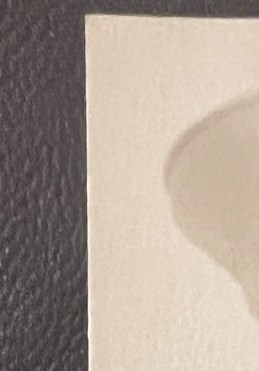 Thomas W Bonamo Obituary Staten Island NY thomas-w-bonamo-obituary-staten-island-ny